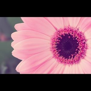 Answer your Posher; Lauren💕🌸